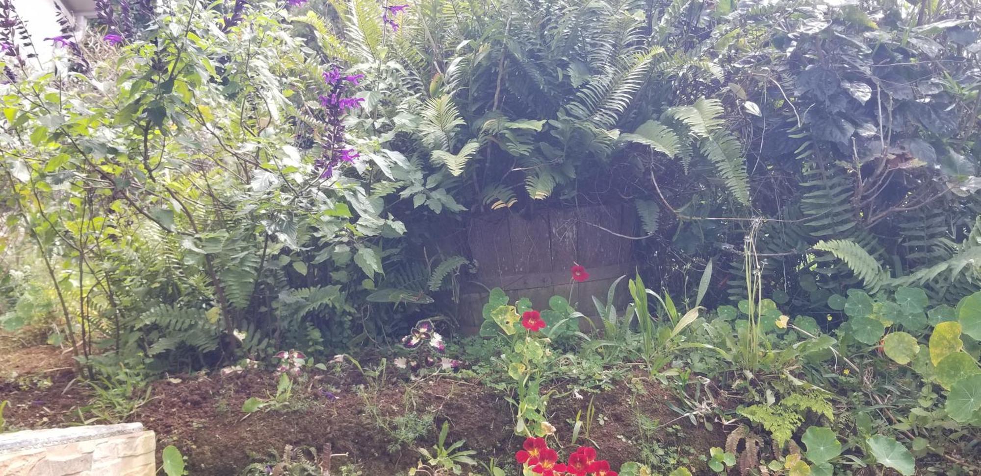 Ferienwohnung Chez Gigi Petite Île Exterior foto